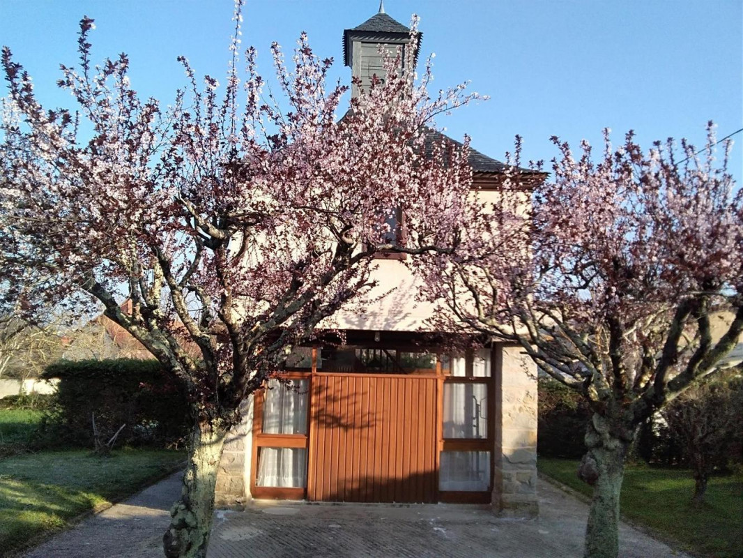 photo 0