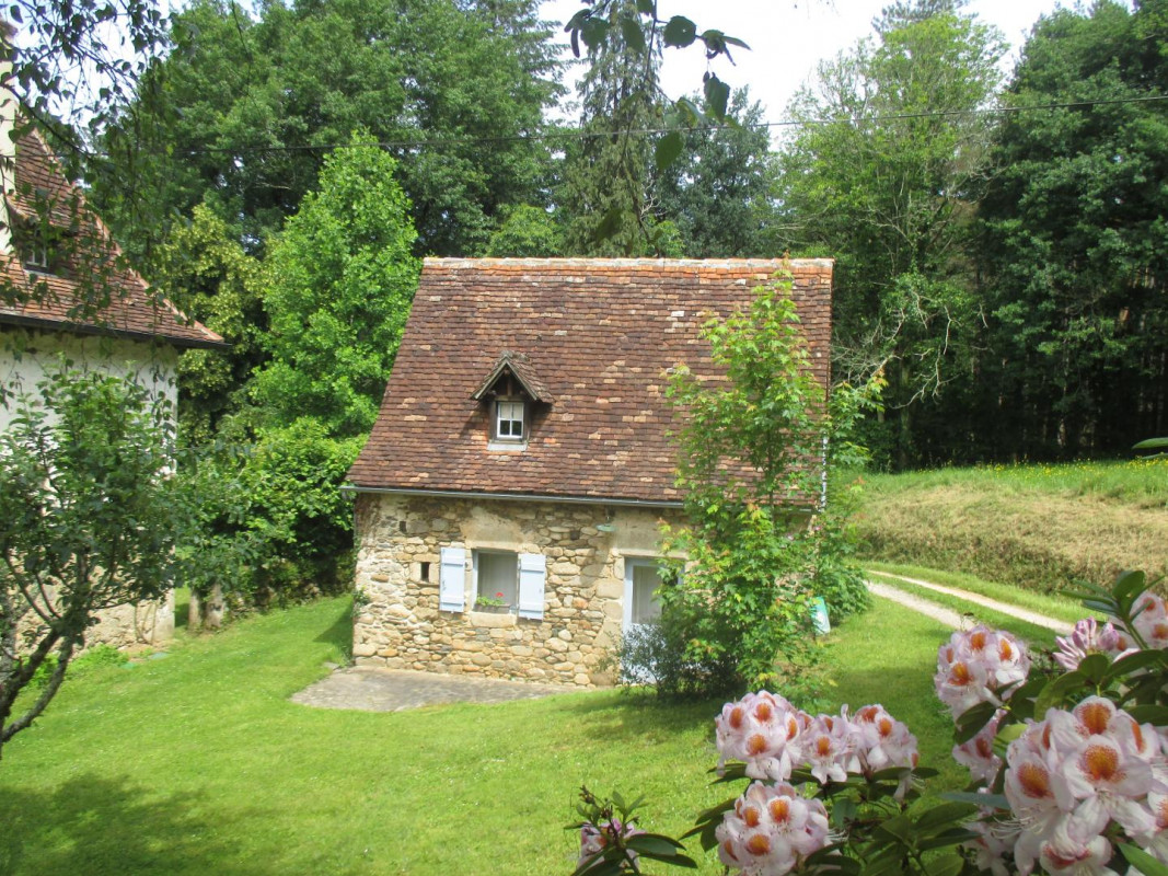 photo 0