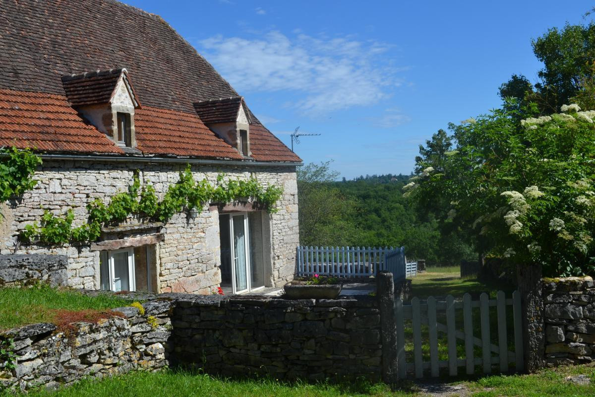 photo 0