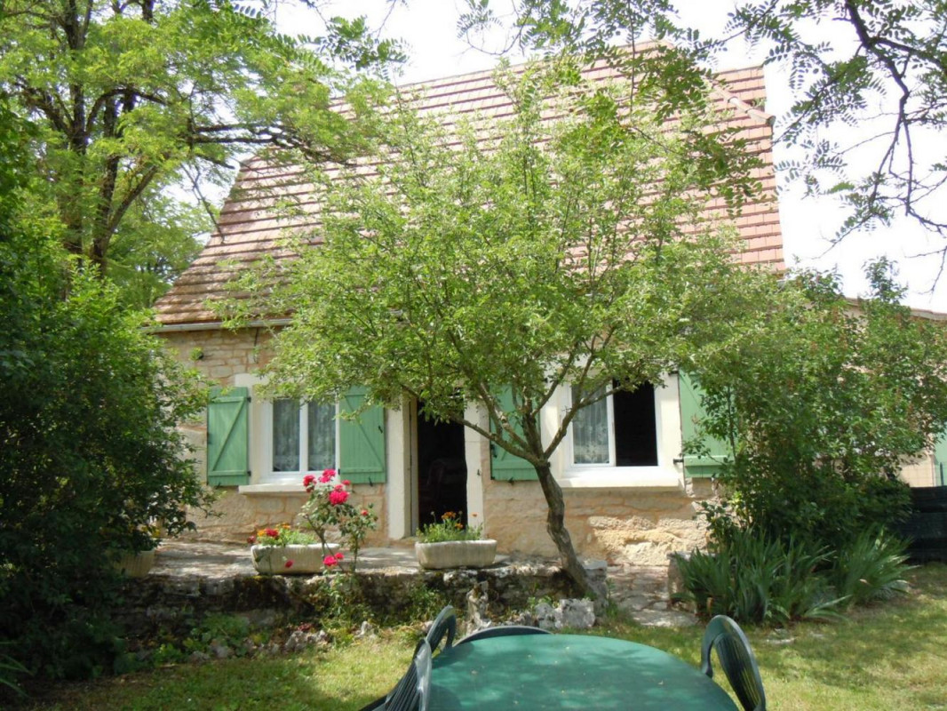 photo 0