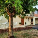 gite - G&icirc;tes de France&reg; - La parenth&egrave;se des Cartoules - SAINT LAURENT LES TOURS - Lot