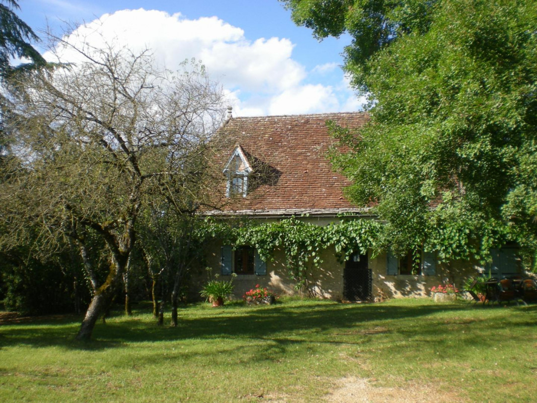 photo 0