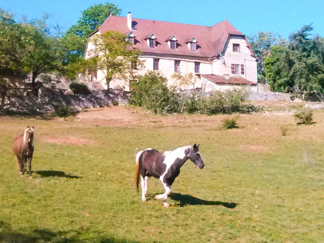 photo 0