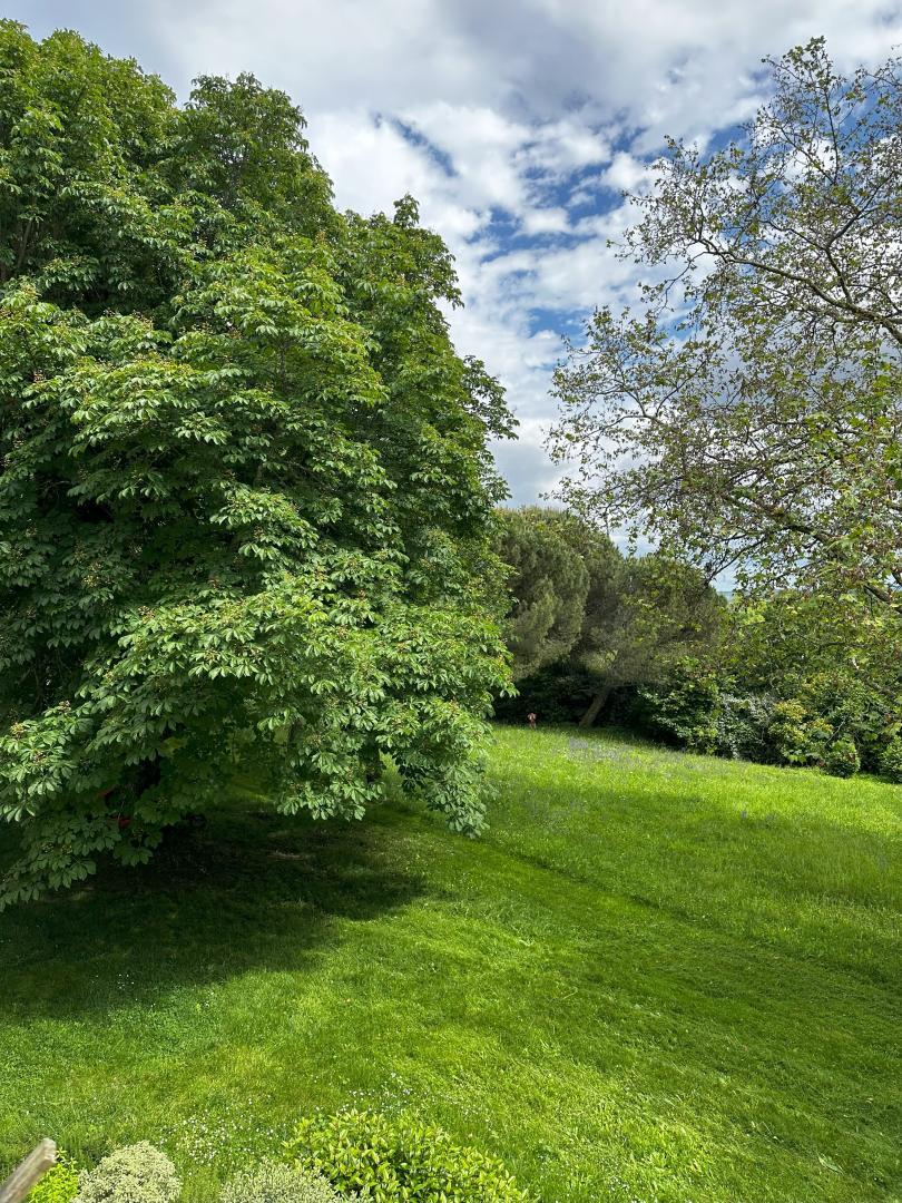 Chambre Verde - Vue sur le parc photo 40