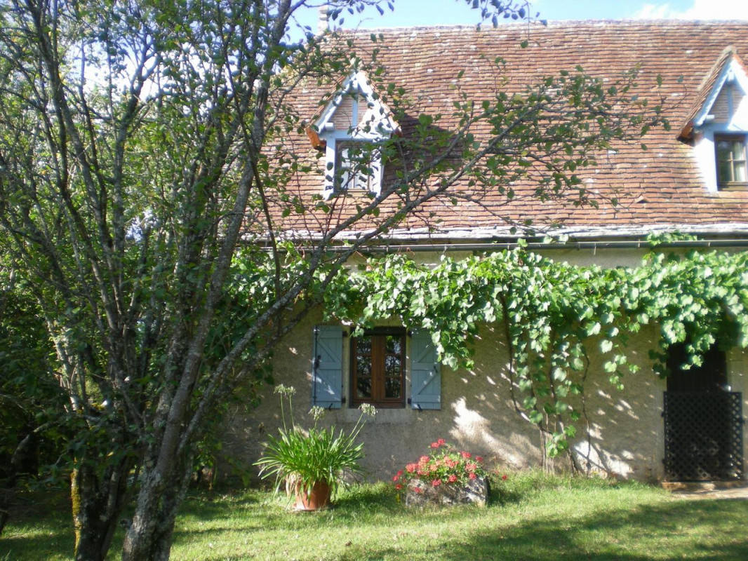photo 35