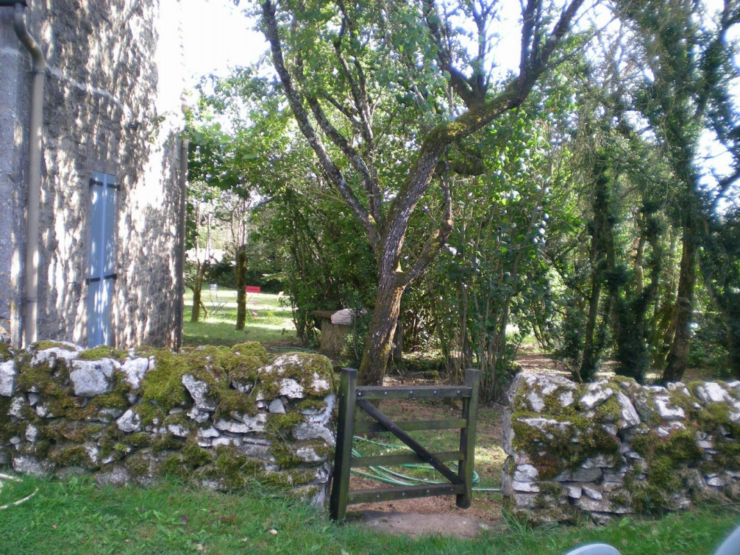 photo 38