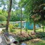 gite - Gîtes de France® - Le Chalet du Bosc - MONTCUQ EN QUERCY BLANC - Lot