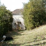 gite - G&icirc;tes de France&reg; - 46G11285 - CAHORS - Lot