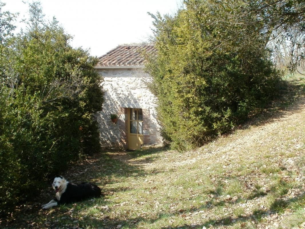 photo 0
