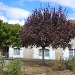 gite - G&icirc;tes de France&reg; - La Grange d'Adeline - MEYRONNE - Lot