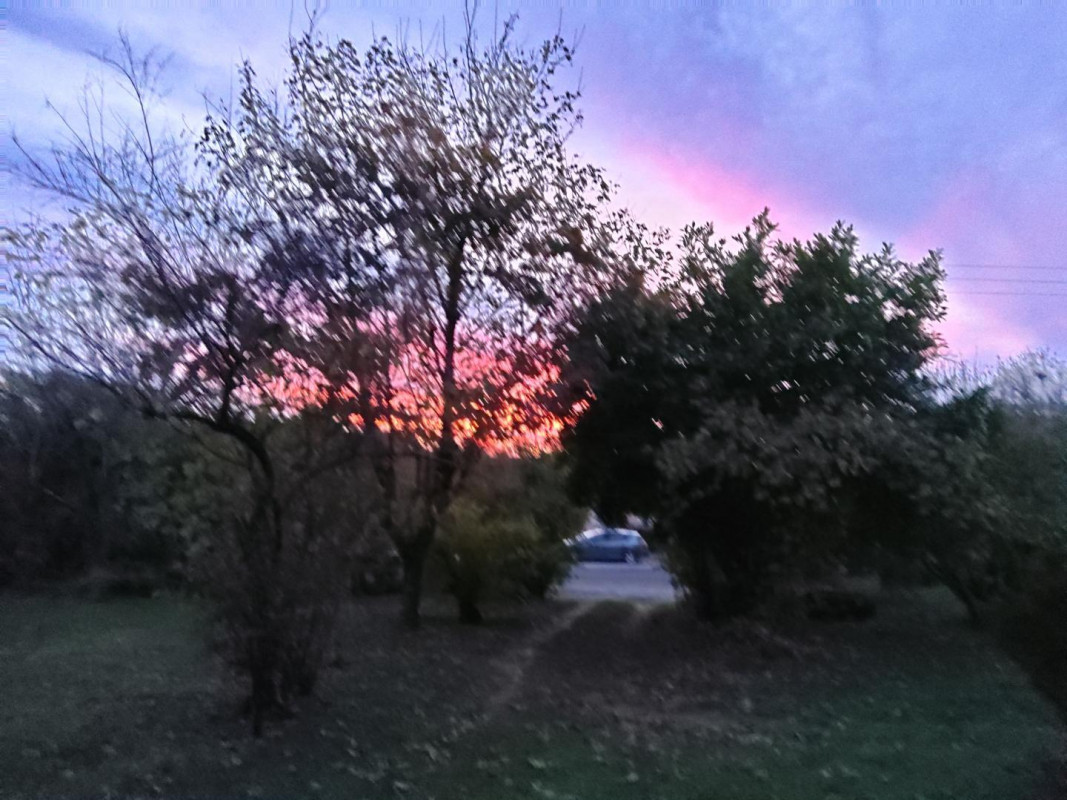 photo 39